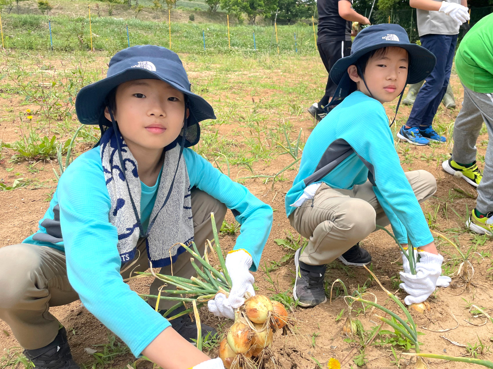 ユニプレkids 紺屋町校(北九州市小倉北区)の療育・活動の様子 8